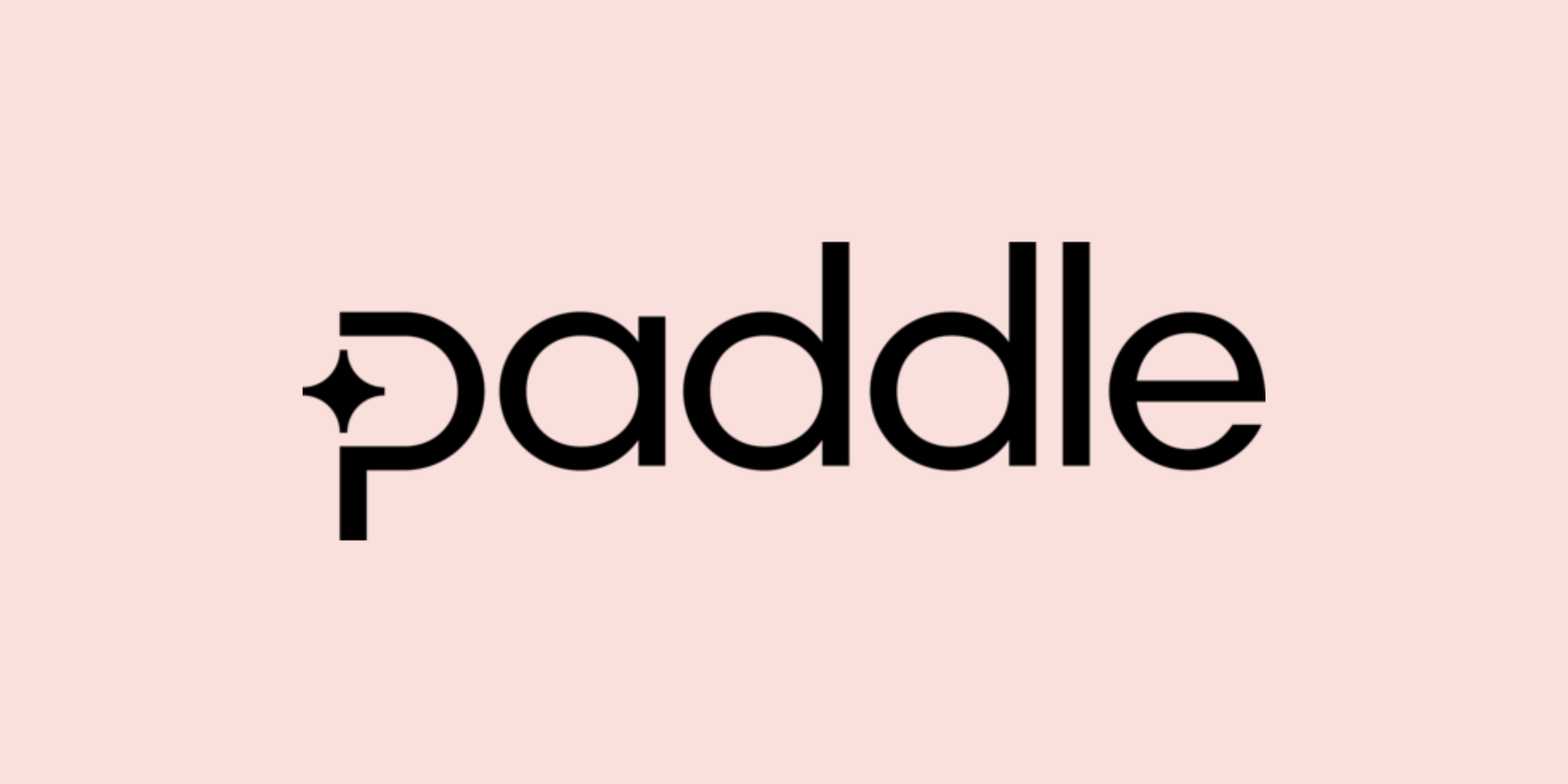When asking what is Paddle.com? It can be important to consider their brand identity. This image displays the Paddle logo, the word 'Paddle' with a star-like icon as part of the P